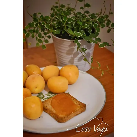 Bed and breakfast Casa Vayu - Rooms&garden Nápoles