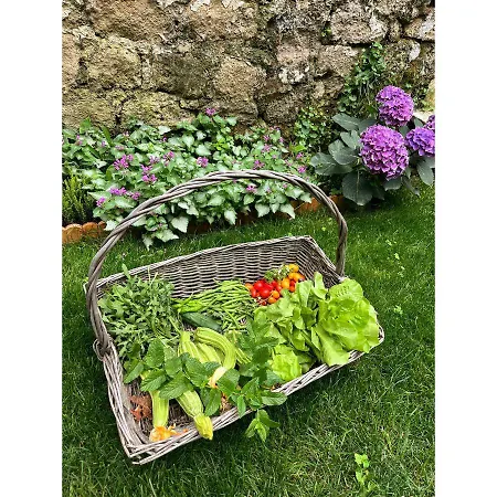 Casa Vayu - Rooms&garden Bed and breakfast *