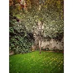 Casa Vayu - & Garden