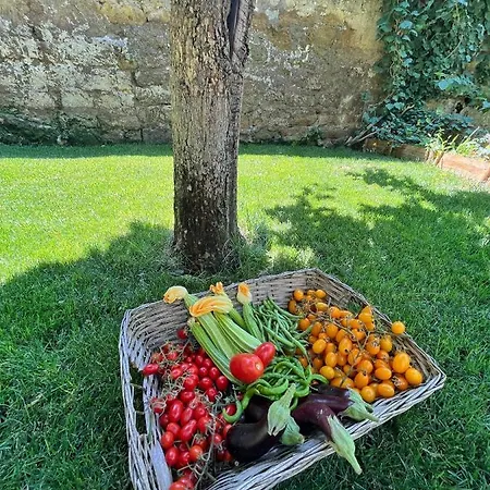 Casa Vayu - & Garden 4* نابولي